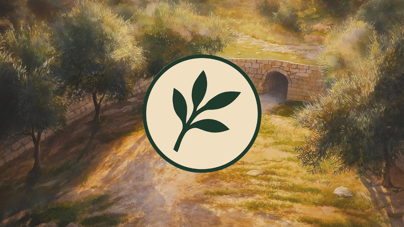 Leva - Branch of Mercy Leva - Your Companion